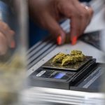 Nach Teil-Legalisierung: 800 Waagen für Berliner Polizei zur Cannabis-Kontrolle