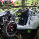 Von der Straße abgekommen: Tödlicher Unfall – Auto kollidiert mit Baum