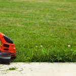 Angebote im September: Einhell Rasentrimmer heute 41 % günstiger: Garten-Deals am Montag