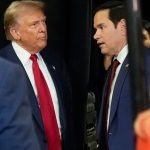 Trumps Regierung: Medien: Senator Marco Rubio soll US-Außenminister werden