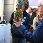 Künstliche Intelligenz: Bundespräsident testet intelligenten Kühlschrank mit Ananas