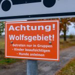 Streit um Wölfe: Naturschützer halten Wolfshinweisschilder für übertrieben