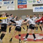 Handball: Zwickau feiert dritten Sieg im vierten Heimspiel