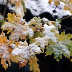 Trotz Winterwetter: Für Schneemänner reicht es am Buß- und Bettag meist nicht