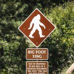 US-Bundesstaat Washington: Zwei Männer sterben bei Suche nach Bigfoot