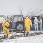 Tierseuche: Maul- und Klauenseuche ausgebrochen – Krisenstäbe im Einsatz