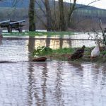 Wetter in Bayern: Hochwasser in Franken gehen zurück