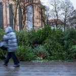 Weihnachten: Wenn der Christbaum weg muss: Sammelstelle oder Wertstoffhof