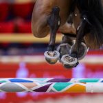 Springreiten: Schwede gewinnt Großen Preis beim CSI Neustadt-Dosse