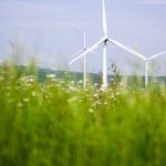 Energiewende in Niedersachsen: Ausbau der Windkraft geht nur langsam voran – Ziel verfehlt