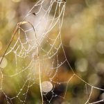 Wetter: Nebel, Glätte, Sonnenschein in Berlin und Brandenburg