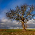 Vorhersage: Wolkig und vereinzelt Schnee – so wird das Wetter am Samstag